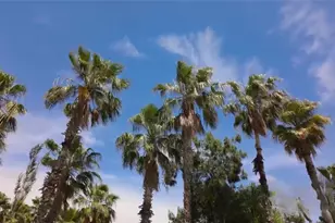 13719 Mutiny Ln, Galveston, TX 77554 - Photo 41