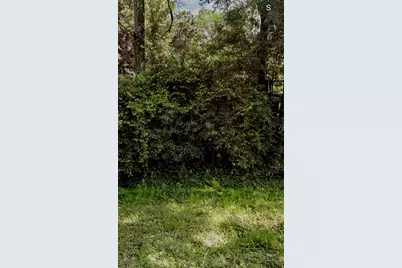 407 Pin Oak Drive, Highlands, TX 77562 - Photo 3