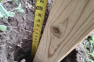 10113 Spring Pl Dr, Houston, TX 77070 - Photo 3