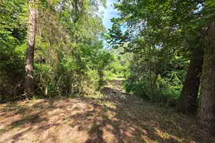 70 Montego Way, Point Blank, TX 77364 - Photo 35