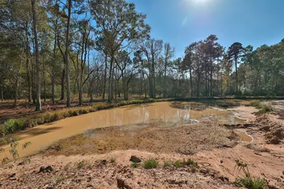 611 Sentinel Oaks, Pinehurst, TX 77362 - Photo 5