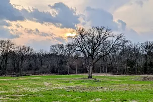 3115 Rains County Rd 2610, Alba, TX 75410 - Photo 37