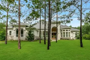 26214 Crown Ct, Montgomery, TX 77316 - Photo 3