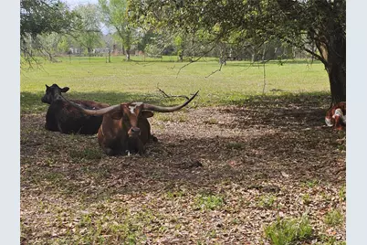 6814 Avenue O, Santa Fe, TX 77510 - Photo 41