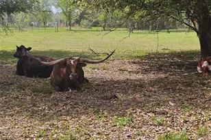 6814 Avenue O, Santa Fe, TX 77510 - Photo 41