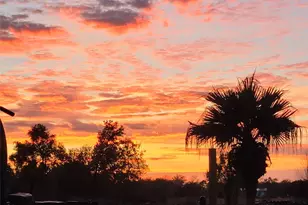 6814 Avenue O, Santa Fe, TX 77510 - Photo 47