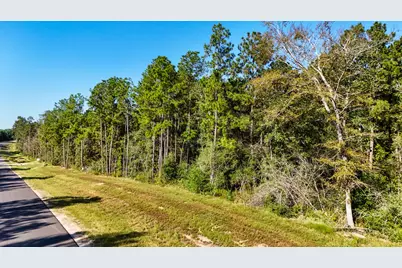 15821 Ridge Rock Road, Willis, TX 77378 - Photo 17