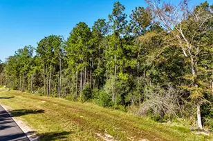 15821 Ridge Rock Rd, Willis, TX 77378 - Photo 17