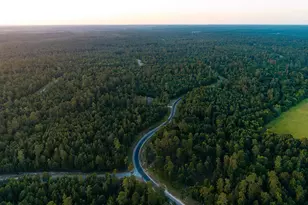 15821 Ridge Rock Rd, Willis, TX 77378 - Photo 21