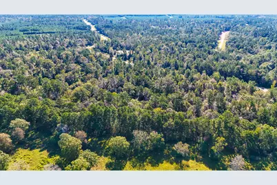 15821 Ridge Rock Road, Willis, TX 77378 - Photo 7