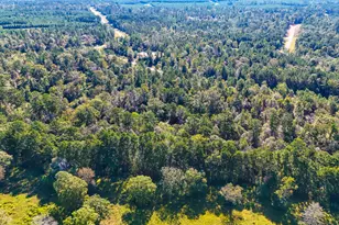 15821 Ridge Rock Rd, Willis, TX 77378 - Photo 7