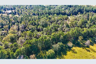 15821 Ridge Rock Road, Willis, TX 77378 - Photo 11