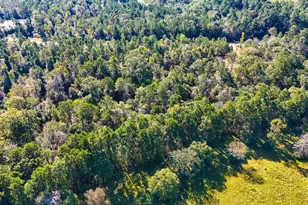 15821 Ridge Rock Rd, Willis, TX 77378 - Photo 11