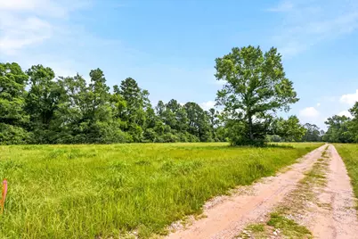 Lot 1 Mount Zion Road, New Waverly, TX 77358 - Photo 17