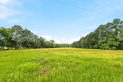 Lot 1 Mount Zion Road, New Waverly, TX 77358 - Photo 15