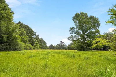 Lot 1 Mount Zion Road, New Waverly, TX 77358 - Photo 5