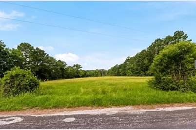 Lot 1 Mount Zion Road, New Waverly, TX 77358 - Photo 5