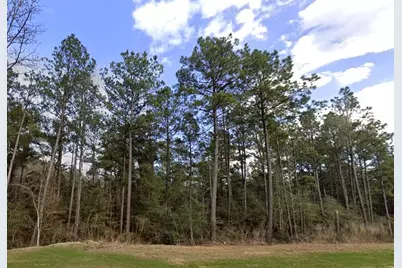 10621 Devotion Road, Willis, TX 77378 - Photo 11