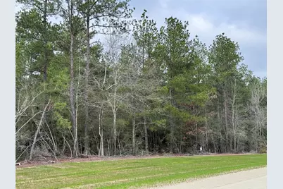 10621 Devotion Road, Willis, TX 77378 - Photo 13