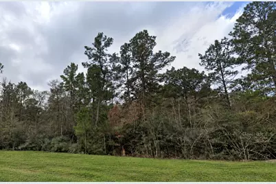 15273 Forest Grove Drive, Willis, TX 77378 - Photo 3