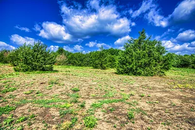 Lot 2 Wonder Hill Road, Chappell Hill, TX 77426 - Photo 7