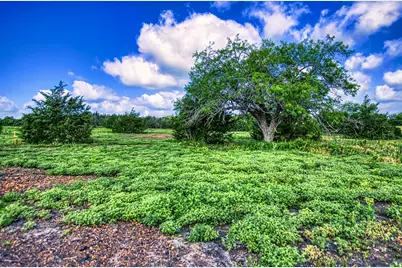 Lot 2 Wonder Hill Road, Chappell Hill, TX 77426 - Photo 5