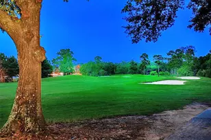 70 N Skyflower Ct, The Woodlands, TX 77381 - Photo 27