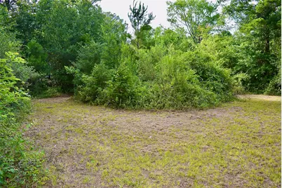 Tbd Sharp Road, Montgomery, TX 77356 - Photo 5