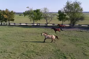 2021-2 County Road 312, Navasota, TX 77868 - Photo 47