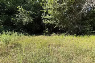 Tbd 2681 Road 2682, Cleveland, TX 77327 - Photo 1
