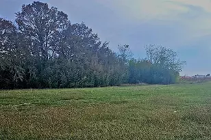 2838 Old Lane City Rd, Wharton, TX 77488 - Photo 5