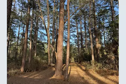 31483 N US Hwy 69, Zavalla, TX 75980 - Photo 31