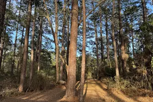 31483 N US Hwy 69, Zavalla, TX 75980 - Photo 31