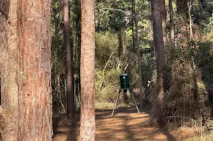 31483 N US Hwy 69, Zavalla, TX 75980 - Photo 37