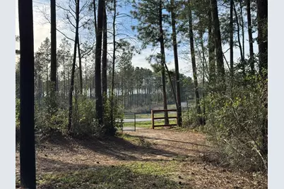 31483 N US Hwy 69, Zavalla, TX 75980 - Photo 29