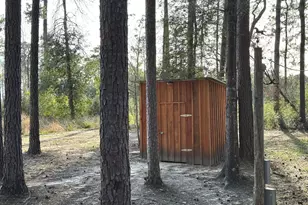 31483 N US Hwy 69, Zavalla, TX 75980 - Photo 27