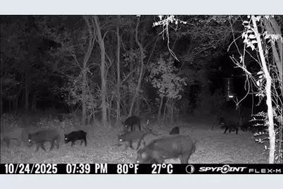 00 Fm 671, Luling, TX 78648 - Photo 25