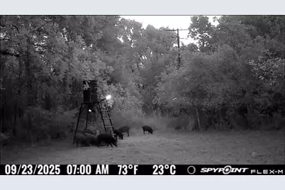 00 Fm 671, Luling, TX 78648 - Photo 23