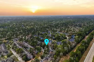 51 Wineberry Pl, Spring, TX 77382 - Photo 45