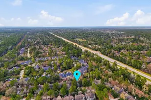 51 Wineberry Pl, Spring, TX 77382 - Photo 43