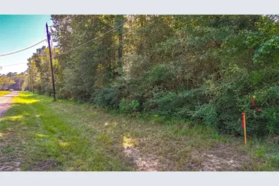 Tbd 28 Timber Grove, Livingston, TX 77351 - Photo 3