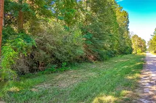 Tbd 28 Timber Grove, Livingston, TX 77351 - Photo 1