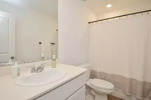 305 Riverwood Village Ln, Sealy, TX 77474 - Photo 11