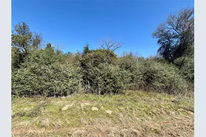 Tbd Sycamore Branch Road, Normangee, TX 77871 - Photo 7