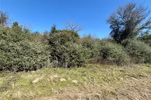 Tbd Sycamore Branch Rd, Normangee, TX 77871 - Photo 1