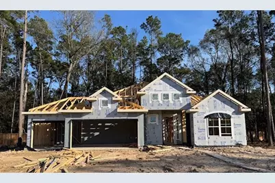 22619 Big Stump Drive, Porter, TX 77365 - Photo 19