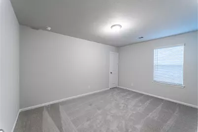 2706 Ruby Laurel Drive, Iowa Colony, TX 77583 - Photo 19