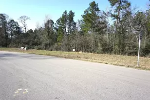 15806 Republic Ranch Rd N, Willis, TX 77378 - Photo 9