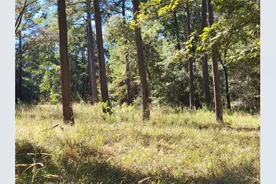 500 S Pine Lake Road, Montgomery, TX 77316 - Photo 17