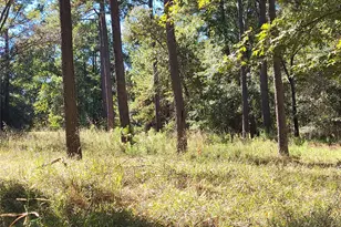 500 S Pine Lake Rd, Montgomery, TX 77316 - Photo 17